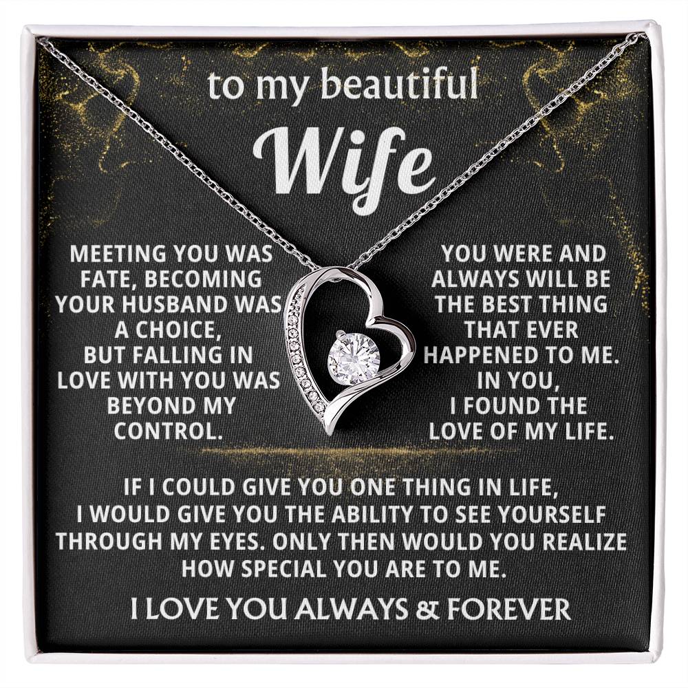 (Almost Gone) To My Beautiful Wife - I found the love of my life