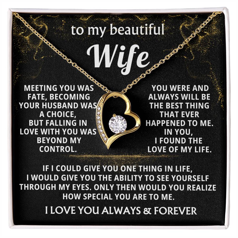 (Almost Gone) To My Beautiful Wife - I found the love of my life