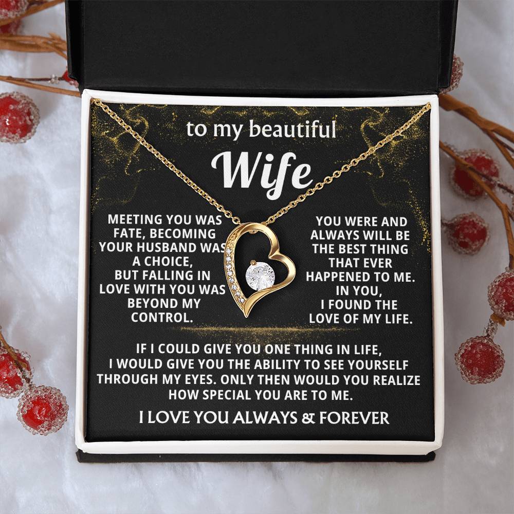 (Almost Gone) To My Beautiful Wife - I found the love of my life