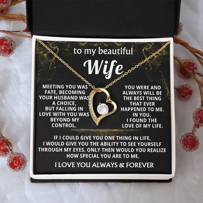 (Almost Gone) To My Beautiful Wife - I found the love of my life